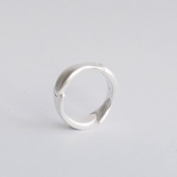Fishring silver